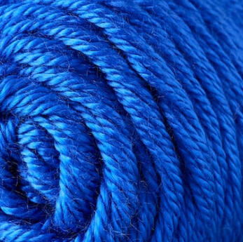 option 1: macaw &amp; royal blue